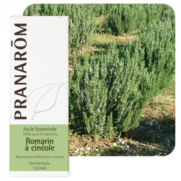 Ružmarin (Cineol) - Eterično ulje - Pranarom 30 ml - Vitashop