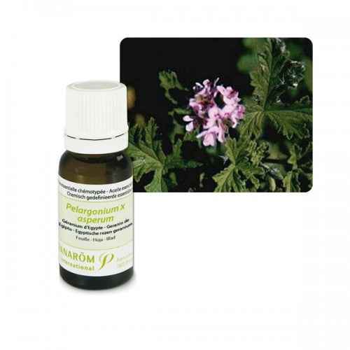 Ulje GERANIJ EGIPATSKI; 10 ml Pelargonium asp.Egypte