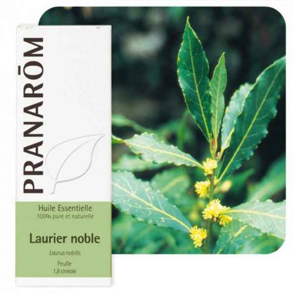 Ulje LOVORA;  5 ml Laurus nobilis
