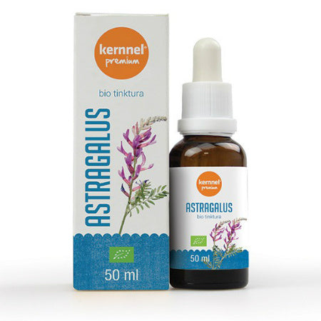 Tinktura Astragalusa - Kernnel