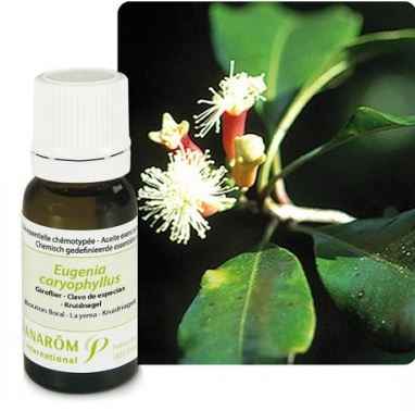 Ulje KLINČIĆEVAC; 10 ml Eugenia caryophyllata