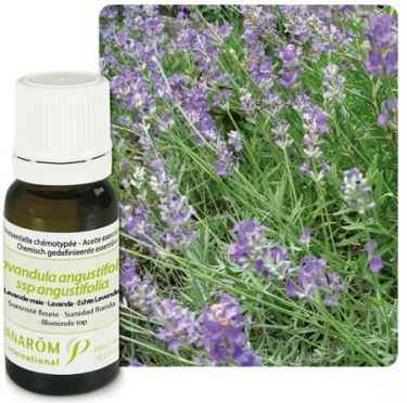 Ulje LAVANDA; 10 ml Lavandula angustifolia